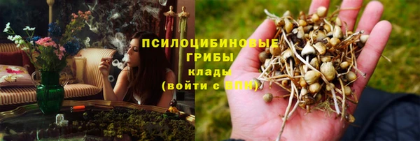 дурь Абаза