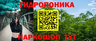 молекула духа Заволжье