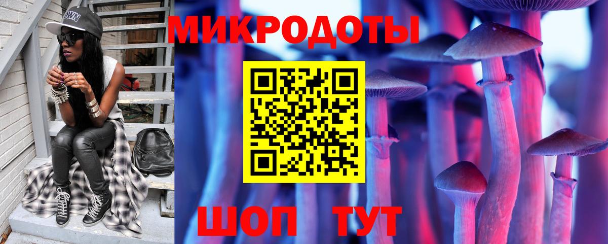 Псилоцибиновые грибы Cubensis Краснодар