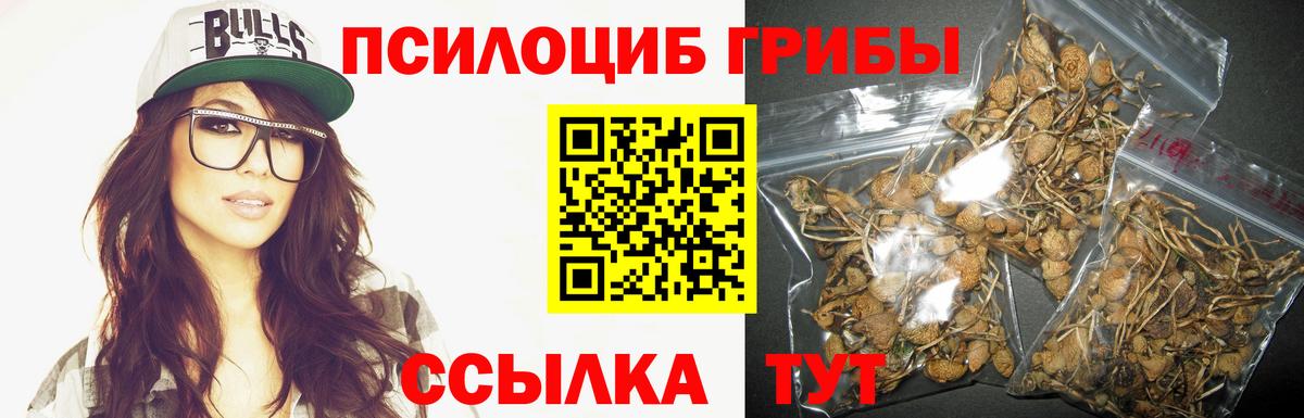 Псилоцибиновые грибы MAGIC MUSHROOMS  Вход с VPN  Краснодар 