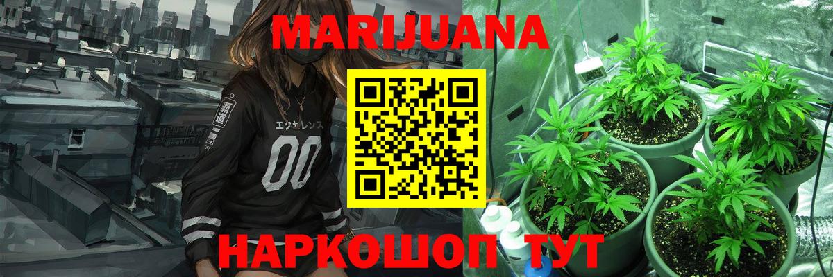 Бошки Шишки конопля Краснодар